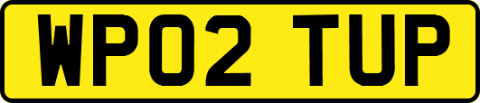 WP02TUP