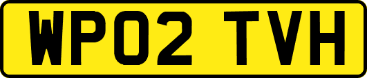 WP02TVH