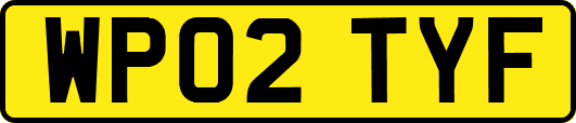 WP02TYF