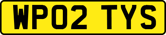 WP02TYS