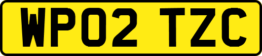 WP02TZC