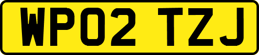 WP02TZJ
