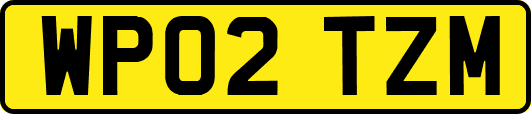 WP02TZM
