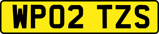 WP02TZS