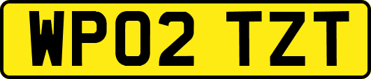 WP02TZT