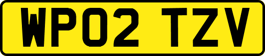 WP02TZV