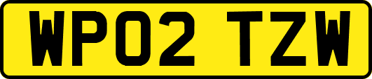 WP02TZW