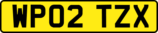 WP02TZX