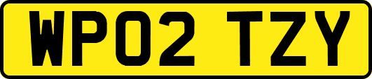 WP02TZY