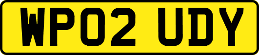 WP02UDY
