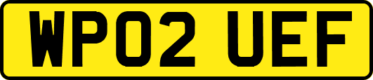 WP02UEF