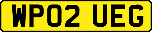 WP02UEG
