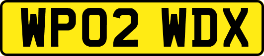 WP02WDX