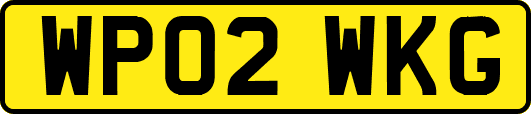 WP02WKG