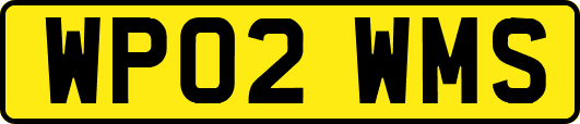 WP02WMS