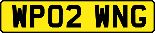 WP02WNG
