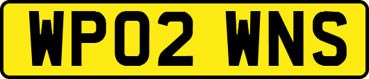 WP02WNS