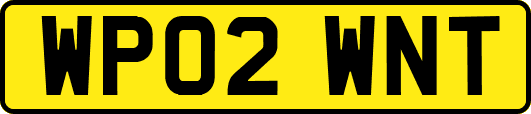 WP02WNT