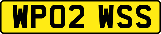 WP02WSS