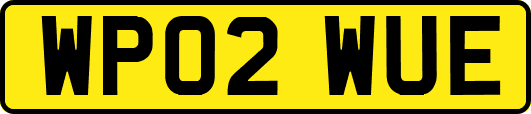 WP02WUE