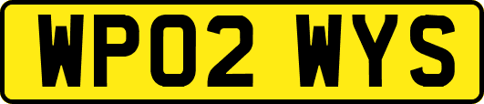 WP02WYS