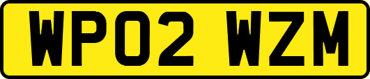 WP02WZM