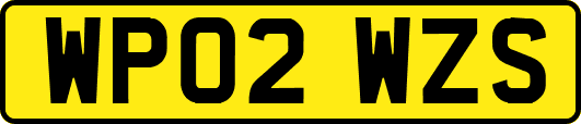 WP02WZS