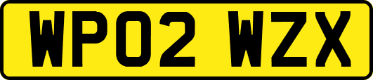WP02WZX