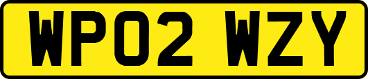 WP02WZY