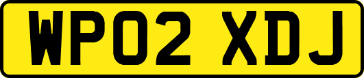 WP02XDJ