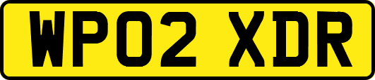 WP02XDR