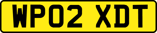 WP02XDT