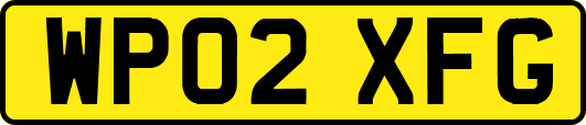 WP02XFG
