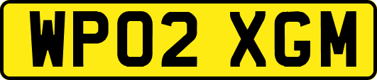 WP02XGM