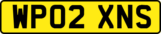 WP02XNS