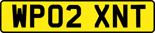 WP02XNT
