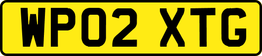 WP02XTG