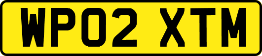 WP02XTM