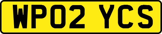 WP02YCS