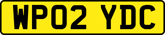 WP02YDC