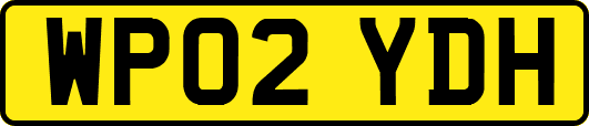 WP02YDH