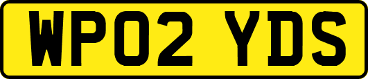WP02YDS
