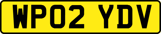WP02YDV