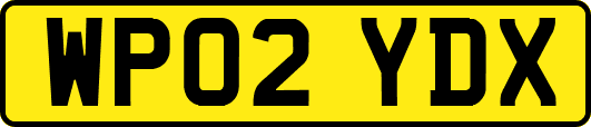 WP02YDX