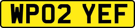 WP02YEF