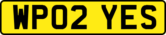 WP02YES