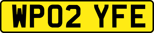 WP02YFE