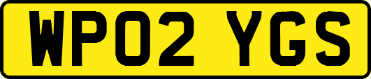 WP02YGS