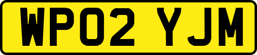 WP02YJM