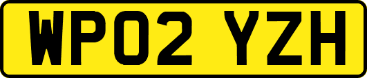 WP02YZH